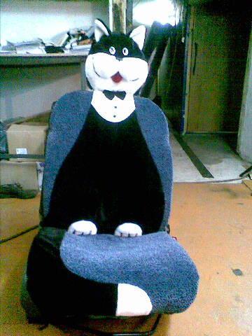 Авточехлы И Накидки