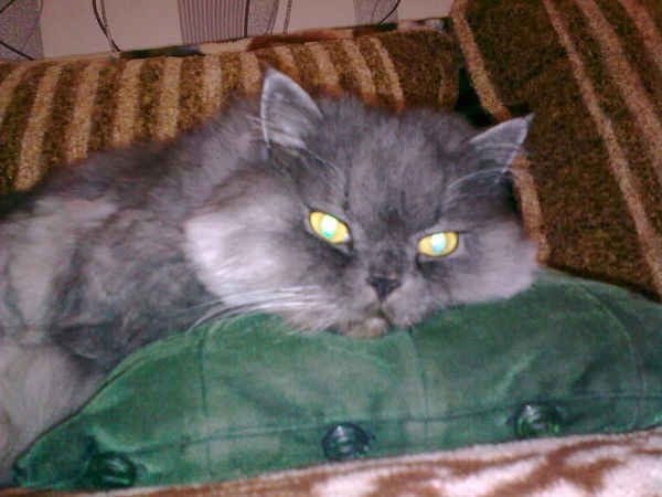 Ирина Ирина