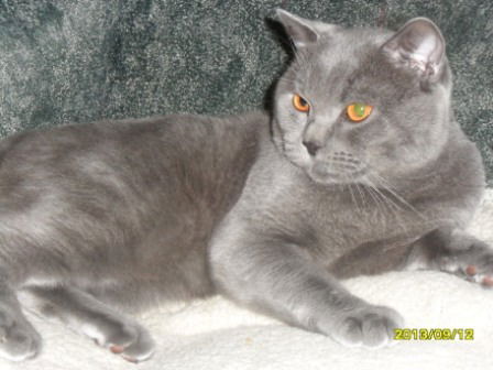 Центр Притяжения