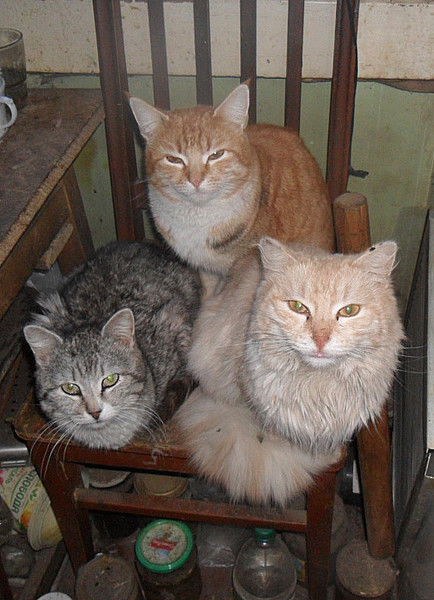 Сергей Тучин