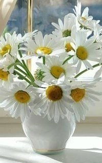 Катя Шарпата