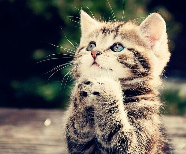 Анастасия Иванова