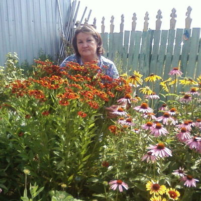 Вера Перевозчикова