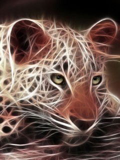 Тимур Музанбеков