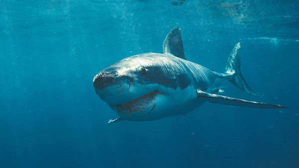 Рафхат Дюсенов