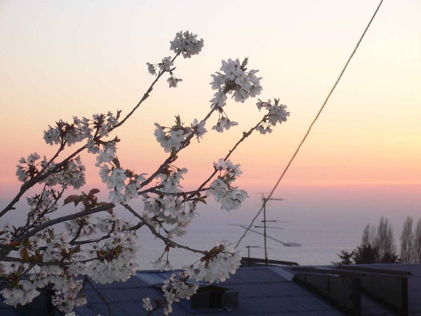 Ольга Кугаевская