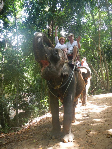 Света Сергеева