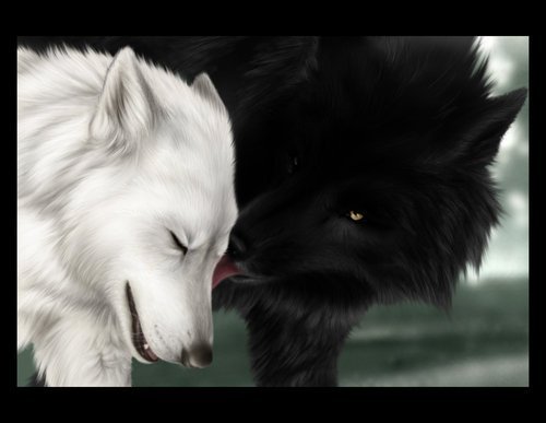 Елена Зубкова