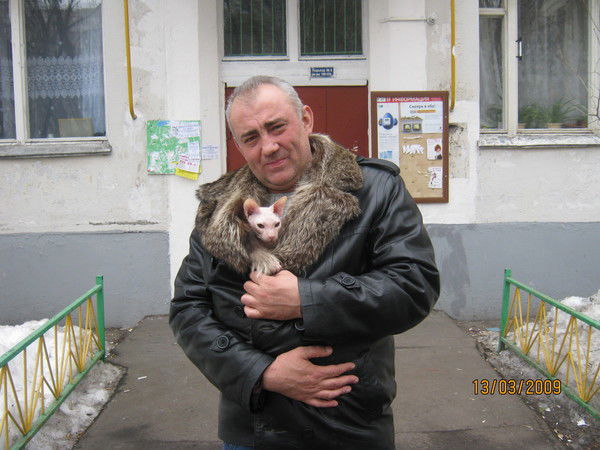 Владимир Матерн