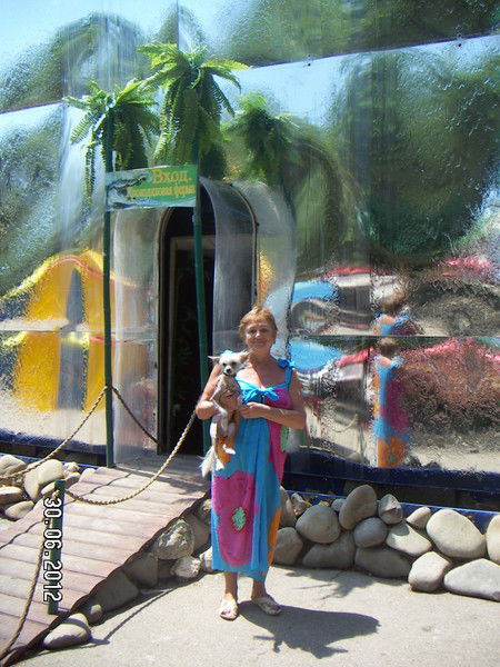 Екатерина Бердичевская