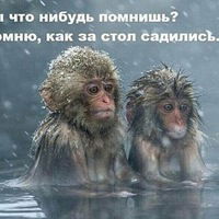 Марина Лаук