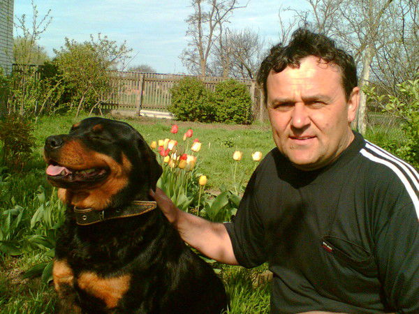 Владимир Шевченко