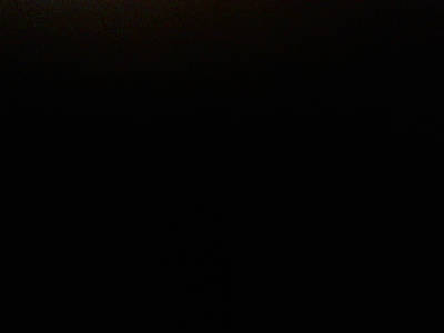 Денис Курников