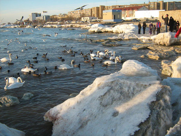 Иннаят Саламалиева