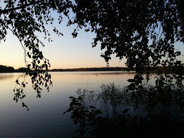 Александр Чурсанов