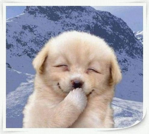 Нина Кузина