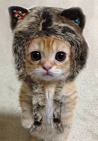 Саша Когатько