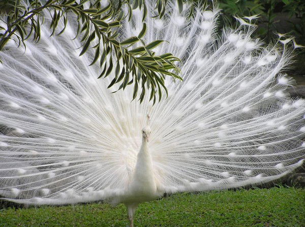 Мадина Калдыбекова