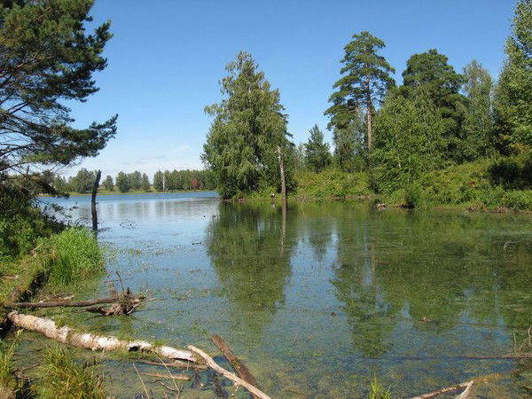 Ольга Николаевна Соломенникова