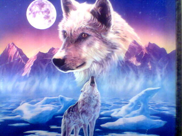 Парковка Ppp