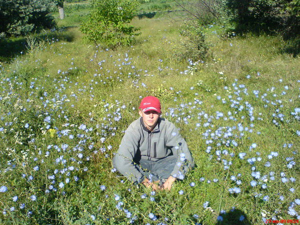 Александр Квитков