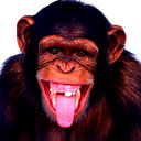 Константин Попов