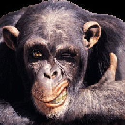 Агасфер Вечный Жид