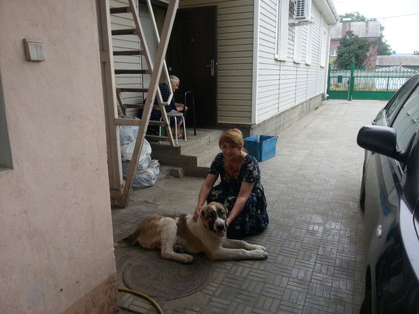 Лариса Овсепян