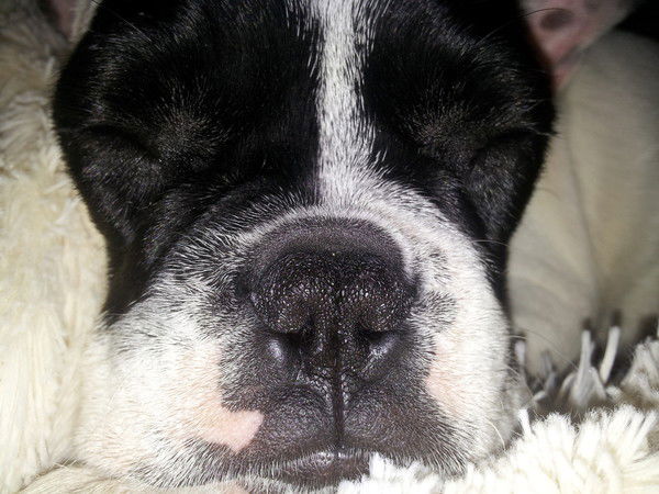 Ирина Сатина