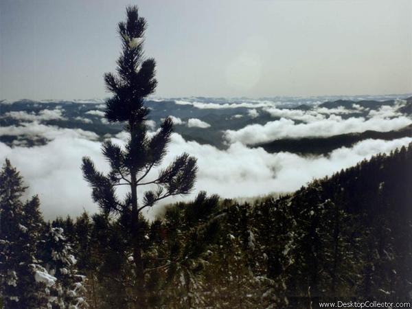 Дмитрий Кабанцов