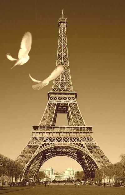 Алина Шарипова