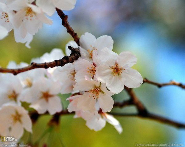 Юлия Кулешова