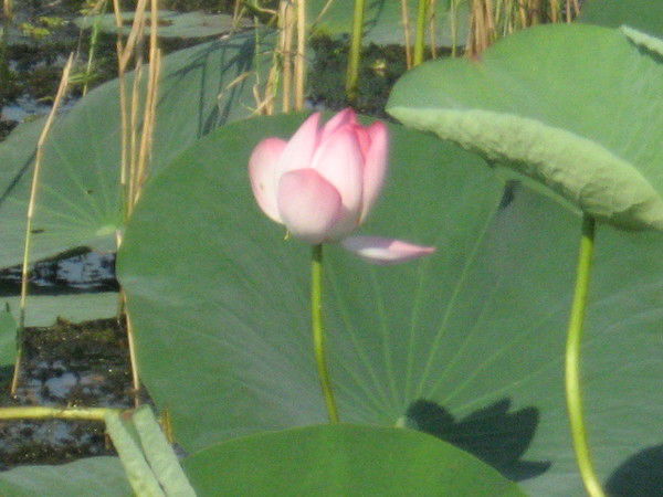 Учебный Центр По Охране Труда