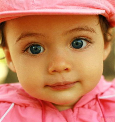 Елена Соболь