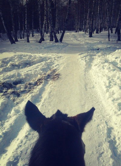 Настя Ядренникова