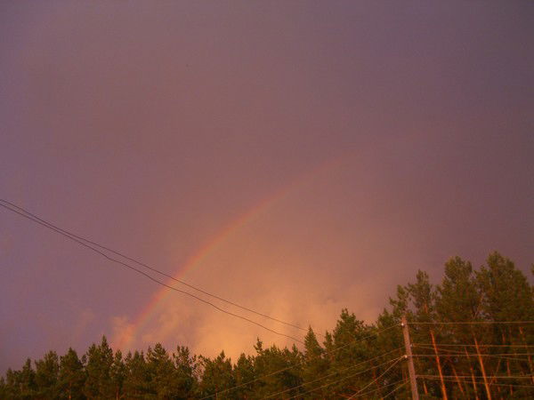 Анна Печеневская