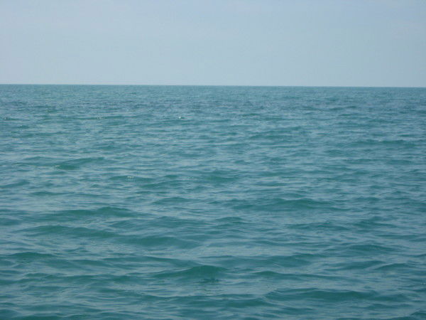 Илсия Шестакова (Гафиатуллина)