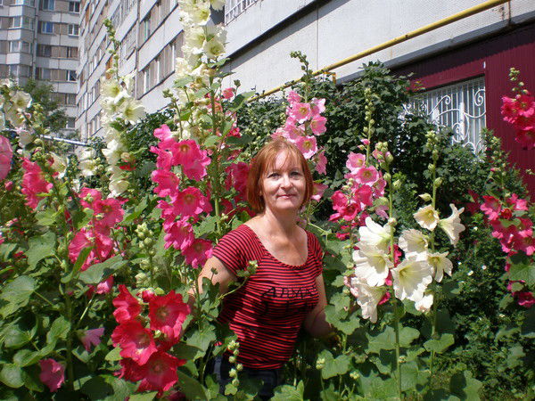 Любовь Куликова