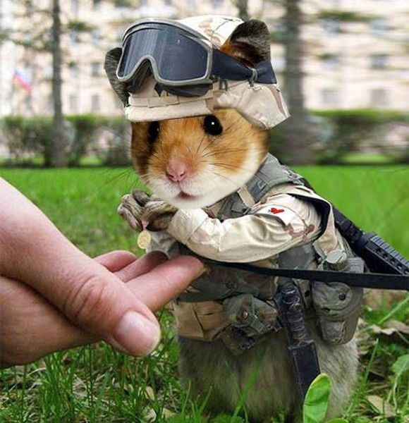 Ольга Скалкина