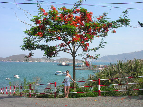 Ирина Кострюкова