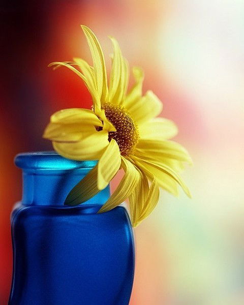 Уц Филиал "лубянский Уц Филиал "лубянски