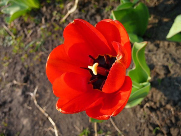 Бибигуль Батырханова