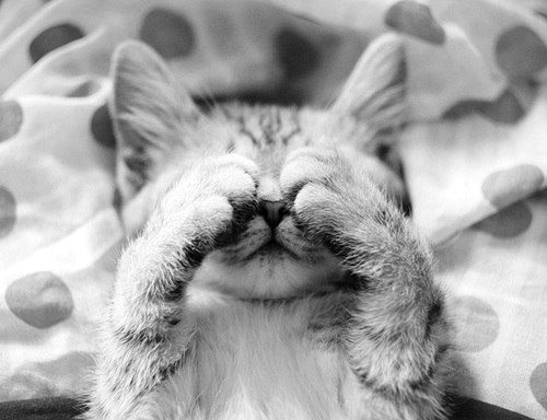 Лёня Швецов