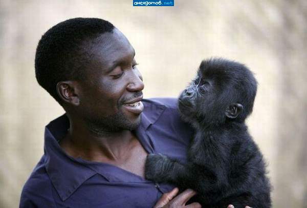 Алексей Шкапин