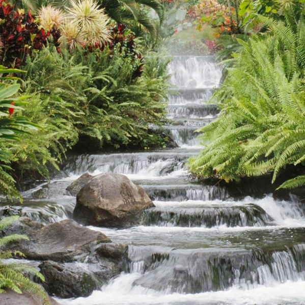 Акмал Мардонов