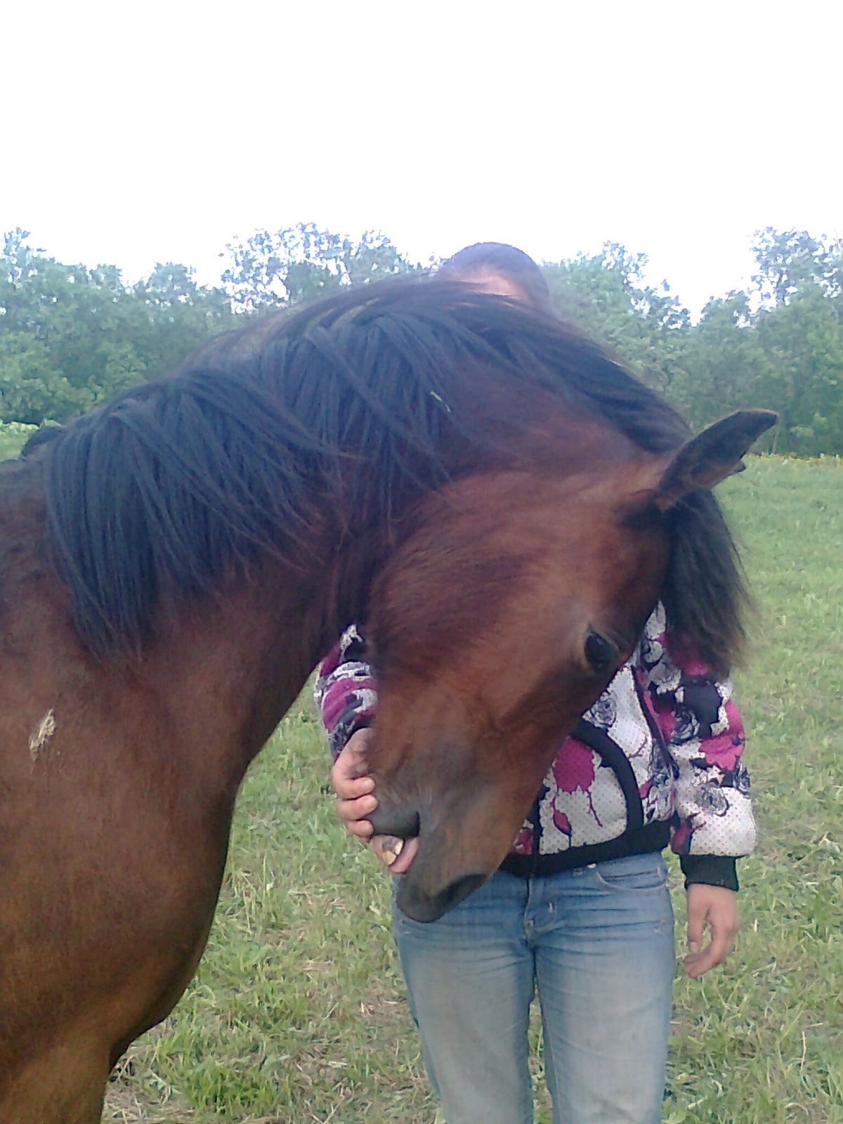 Юлия Сидоренко