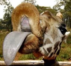 Григорий Нюняев