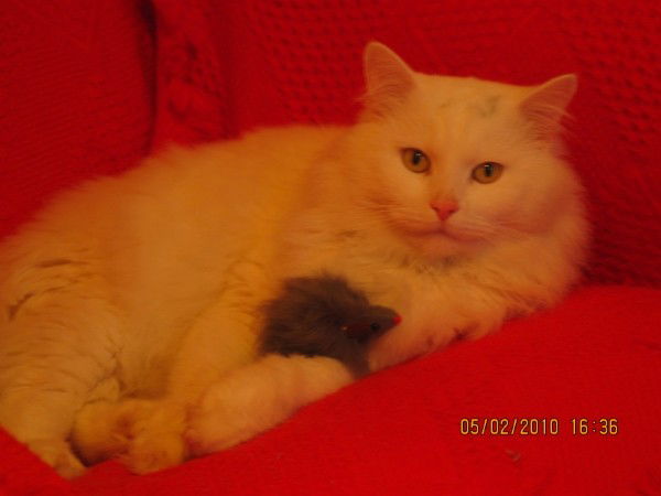 Сергей Сергей Александров