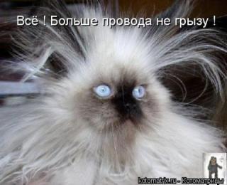 Андрей Котов