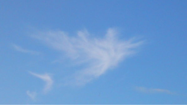 Ольга Боброва